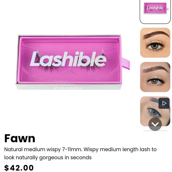 Lashible-Fawn - Picture 3 of 6